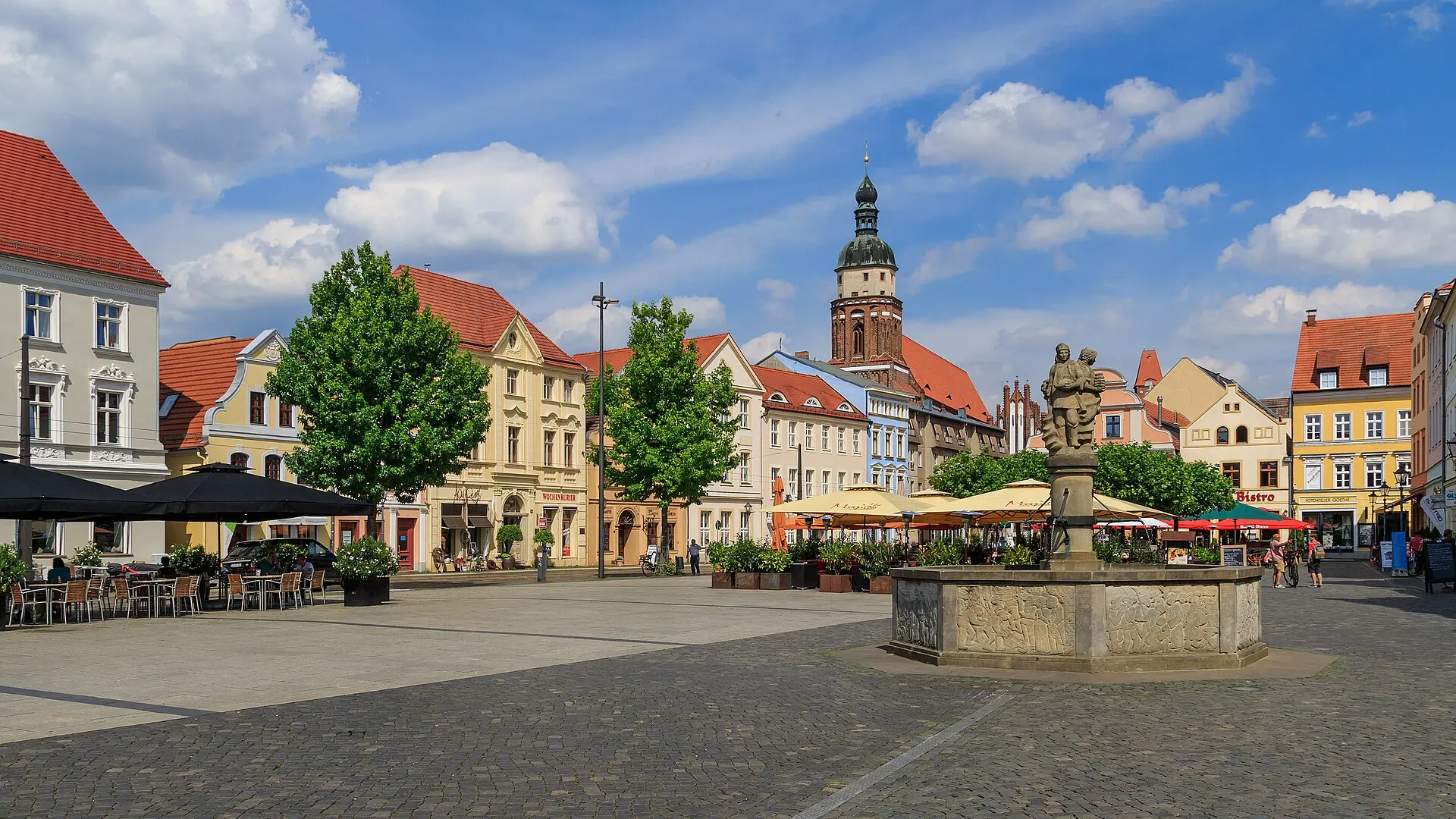Rohrreinigung Cottbus