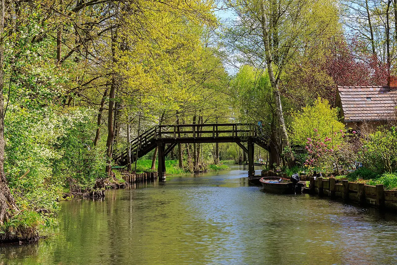Rohrreinigung Spreewald